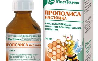Методы лечения панкреатита прополисом, пергой и другими продуктами пчеловодства