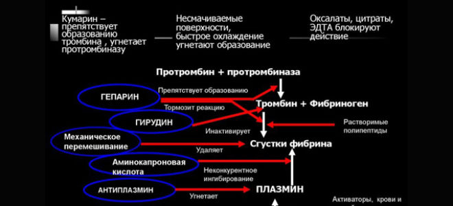 Действие куркумы при панкреатите