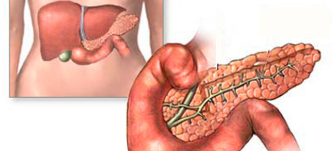 Особенности диффузных изменений поджелудочной железы
