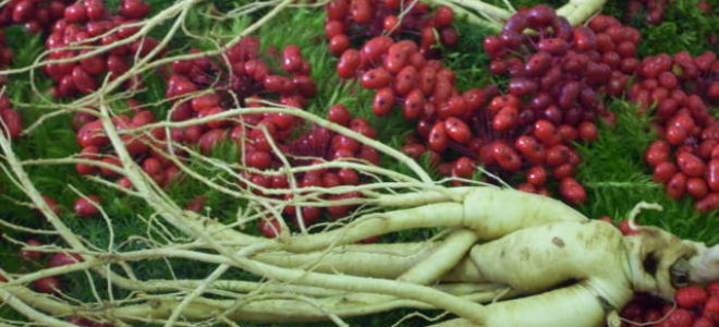 Травы для снижения сахара в крови рецепты для диабетиков