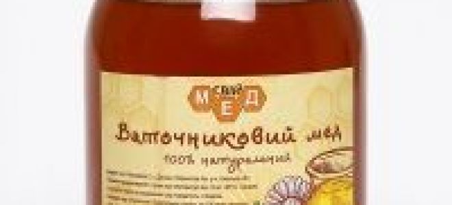 Мед для поджелудочной железы