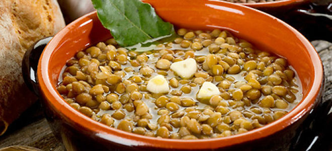 Чечевица при воспалении поджелудочной железы: польза или вред?