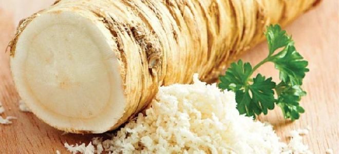 Рецепты с хреном при сахарном диабете