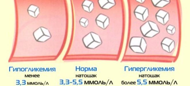 Сахар в крови от 25 до 25,9 ммоль/л что это значит