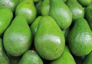 Можно ли есть плоды авокадо при панкреатите: безопасные рецепты