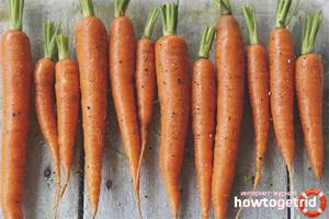 Разрешенные рецепты с морковью для диабетиков