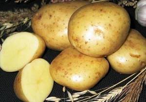 Правила употребления картофеля при панкреатите: безопасные рецепты