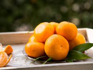 Мандарины и апельсины при панкреатите: можно ли есть при болезни поджелудочной железы?