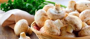 Разрешенные рецепты с грибами для диабетиков