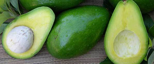 Можно ли есть плоды авокадо при панкреатите: безопасные рецепты