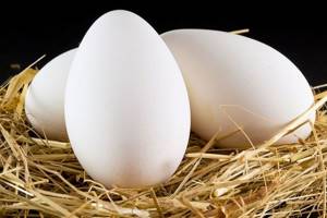 Как есть яйца при сахарном диабете