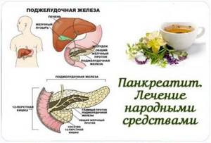 Народные методы лечения желудка и поджелудочной железы