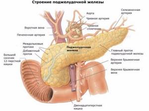 Клинические проявления и последствия гиперфункции и гипофункции поджелудочной железы