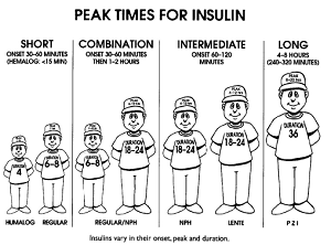 Список инсулинов короткого действия таблица