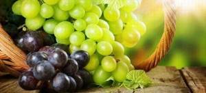 Можно ли при панкреатите есть виноград?