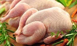 Употребление курицы при панкреатите