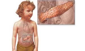 Изменение размеров поджелудочной железы у детей – норма или патология