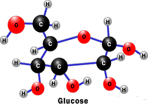 Анализ крови на глюкозу