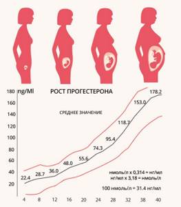 Прогестерон при беременности видео