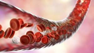 Особенности кровоснабжения и иннервации поджелудочной железы