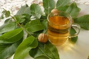 Настойка перегородок и листьев грецкого ореха при диабете