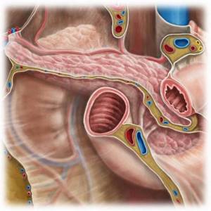 Показания и противопоказания к пересадке поджелудочной железы, методики проведения операции