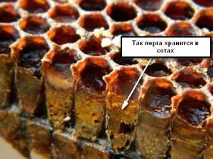 Как есть пчелиную пергу при сахарном диабете
