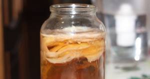 Можно ли пить настой чайного гриба при панкреатите