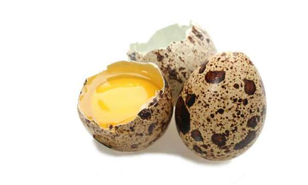 Яйца перепелов при панкреатите