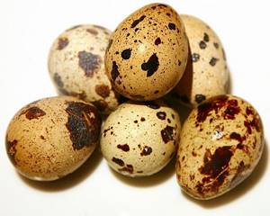 Яйца перепелов при панкреатите