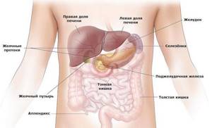 Особенности реактивного панкреатита у взрослых: признаки, симптомы, лечение и диета