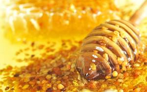 Как есть пчелиную пергу при сахарном диабете